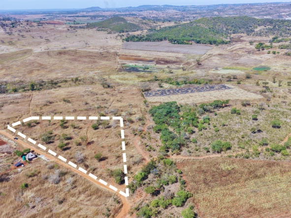 Farm & Agricultural Land