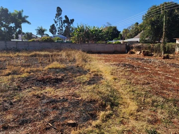 Stands & Residential Land
