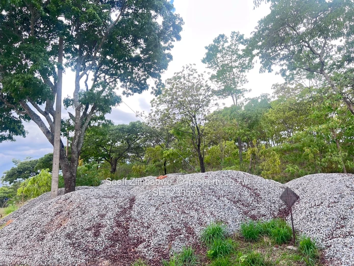 Prime land in Folyjon Crescent. Perfect location (Sole Mandate)