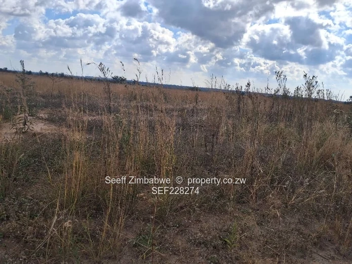 A choice of 4 residential vacant stands is available 