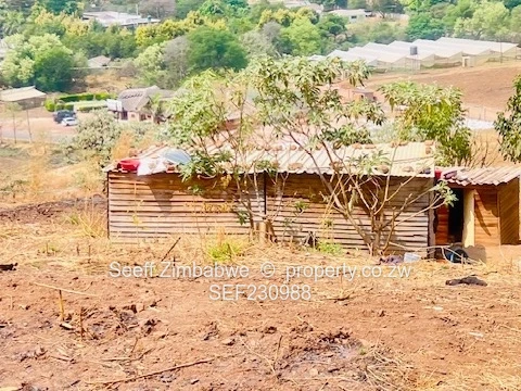 Prime Residential Stand for Sale – 6687m² in Helensvale, Harare North (Sole Mandate)