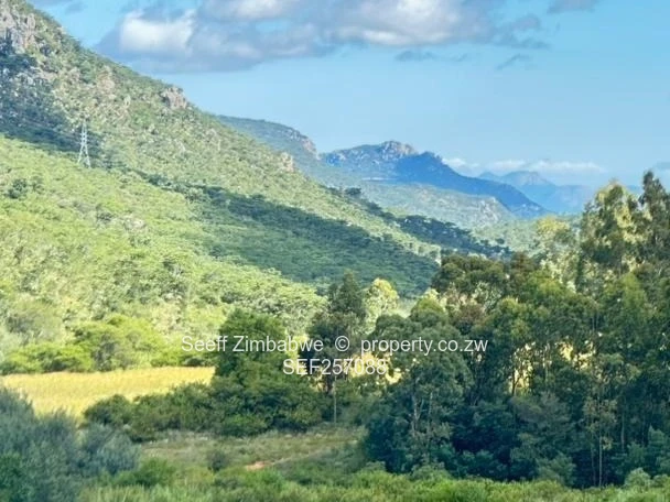 6081 m² Prime Nyanga Plot for Sale with Title Deeds