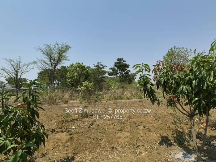 4800 m² Stand in Galloway — Norton with a deed