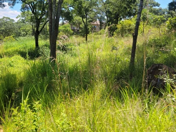 Commercial & Industrial Land