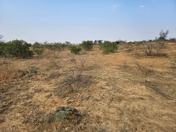 Land