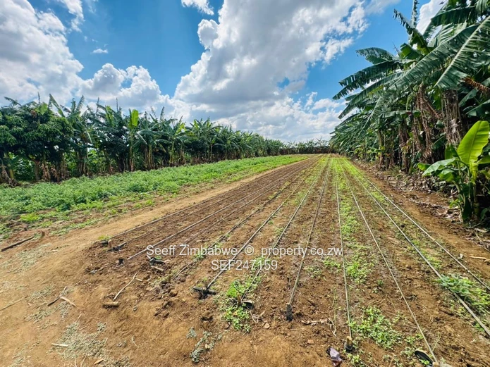 Prime Multi-Purpose Plot | Knowe, Norton (Sole Mandate)