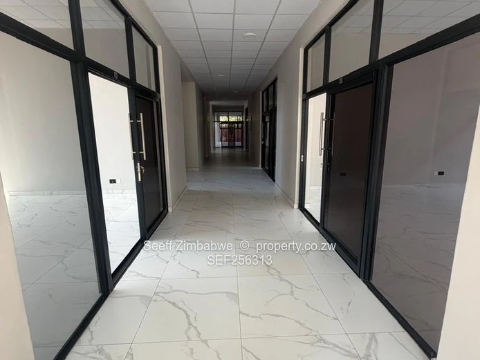 Allied Health & Diagnostic Hub | 40 sqm
