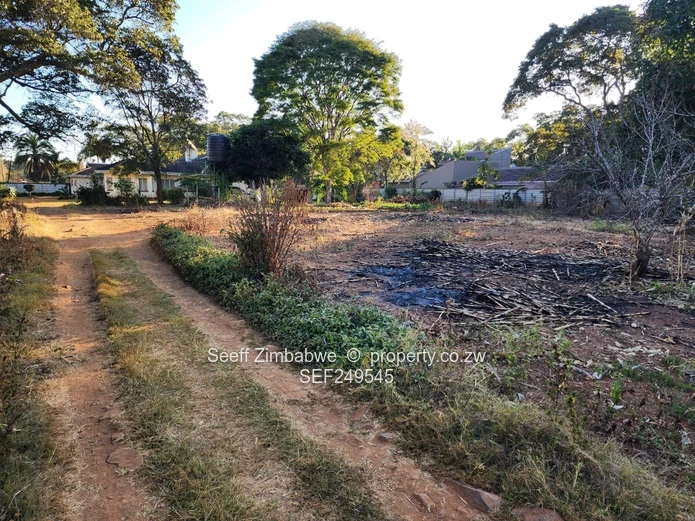 Prestigious Windmill Lane: Premier 2825 sqm Subdivision Stand with Income Cottage