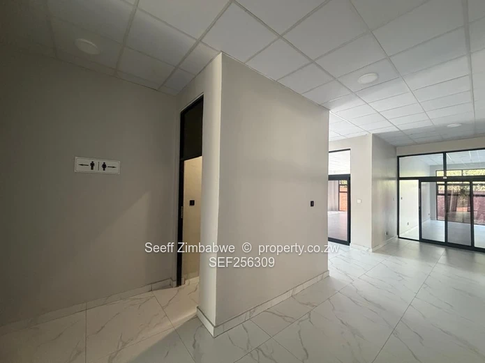 Compact Specialist & Diagnostic Suite (31 sqm)