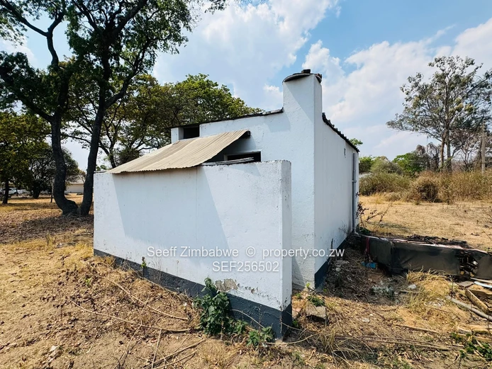 3-Bedroom Family Property On Over 1 Acre