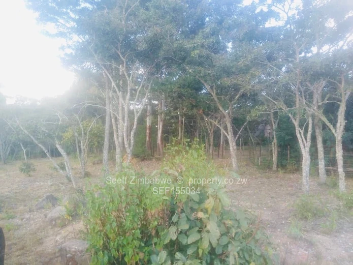 Experience The Nyanga Lifestyle, In Nature's Luxury (Sole Mandate)