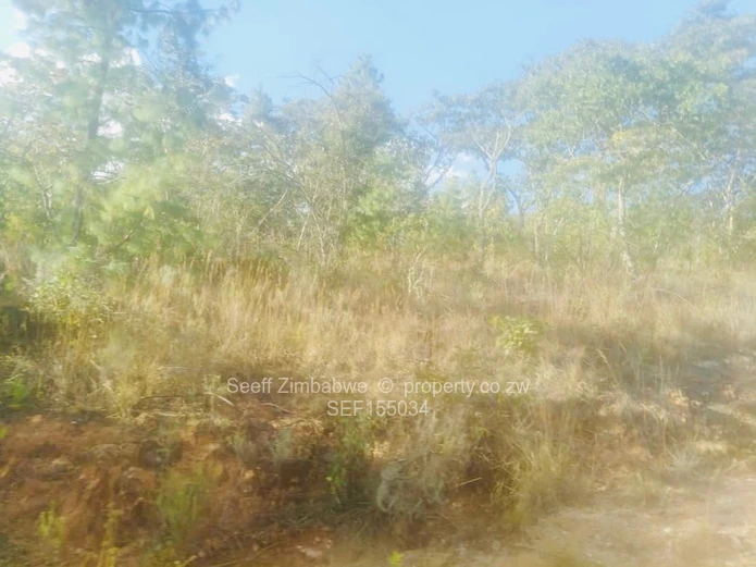 Experience The Nyanga Lifestyle, In Nature's Luxury (Sole Mandate)