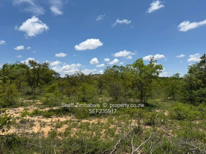 2240 Hectare Farm