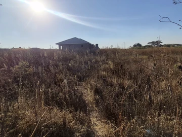 Stands & Residential Land