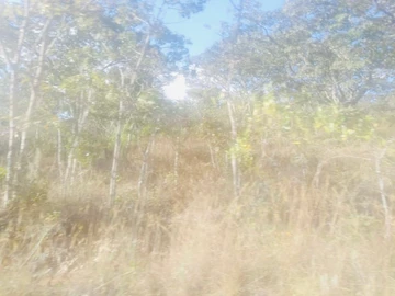 Farm & Agricultural Land