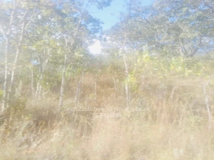 Experience The Nyanga Lifestyle, In Nature's Luxury (Sole Mandate)