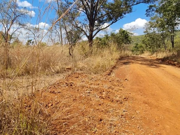 Farm & Agricultural Land