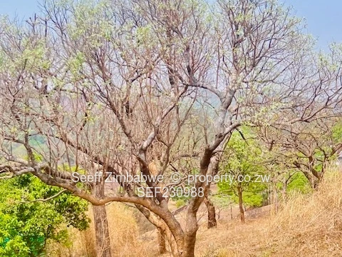 Prime Residential Stand for Sale – 6687m² in Helensvale, Harare North (Sole Mandate)