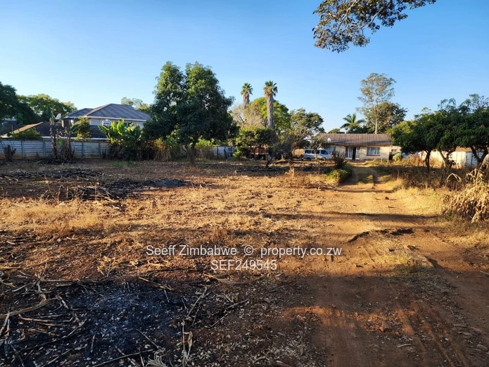 Prestigious Windmill Lane: Premier 2825 sqm Subdivision Stand with Income Cottage