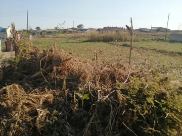Land