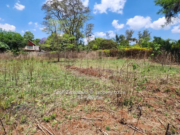 Rare Prime Find: Build Your Dream Home in Affluent Glen Lorne