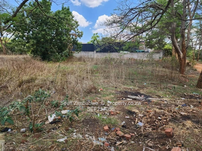 Rare Prime Find: Build Your Dream Home in Affluent Glen Lorne