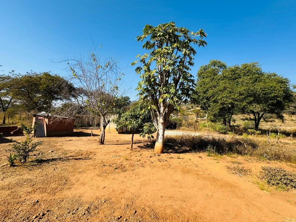 Land