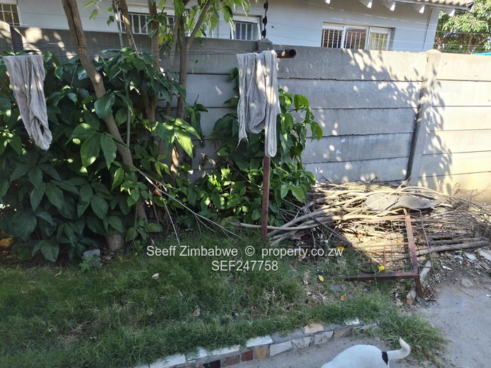 Msasa 3-Bed Home with Built-in Wardrobes & Garden