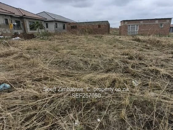 Build-ready stand on Prime land — Glaudina