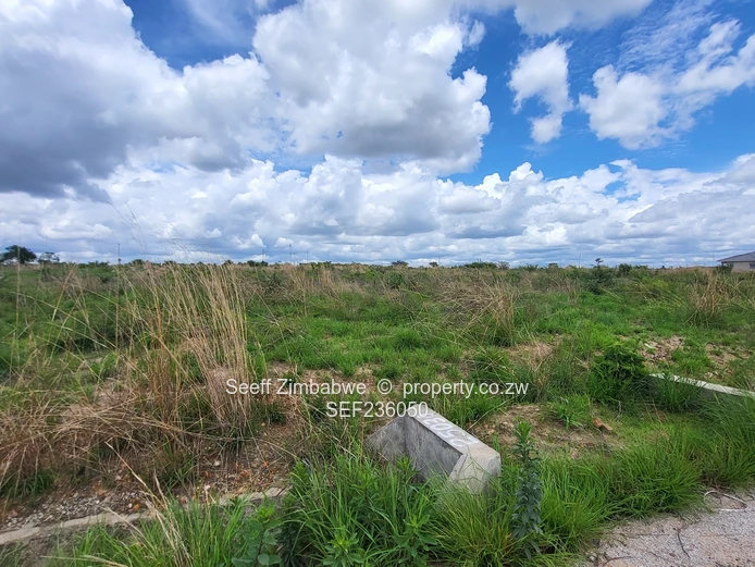 St Ives Chinhoyi