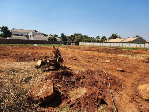 Stands & Residential Land