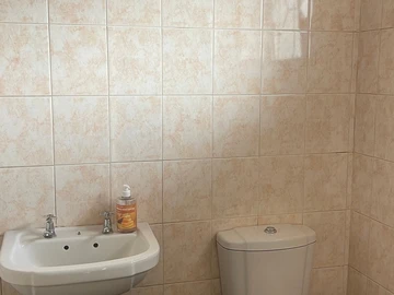 Flat & Apartment