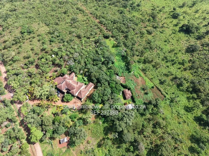 Exclusive 4000 sqm Panhandle Stand #2 for Sale in Shawasha (Sole Mandate)