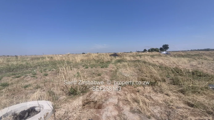  488 m² Stand in Lakewood Norton (Sole Mandate)