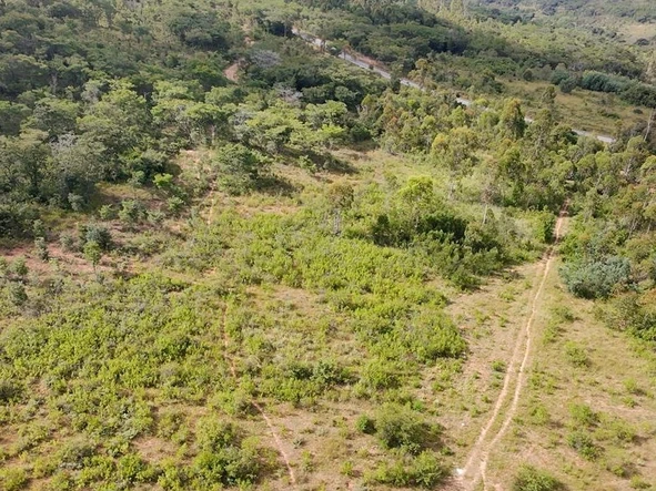 Farm & Agricultural Land
