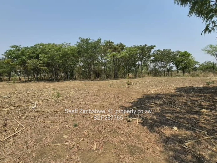 4800 m² Stand in Galloway — Norton with a deed
