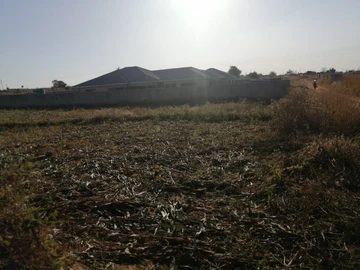 Land