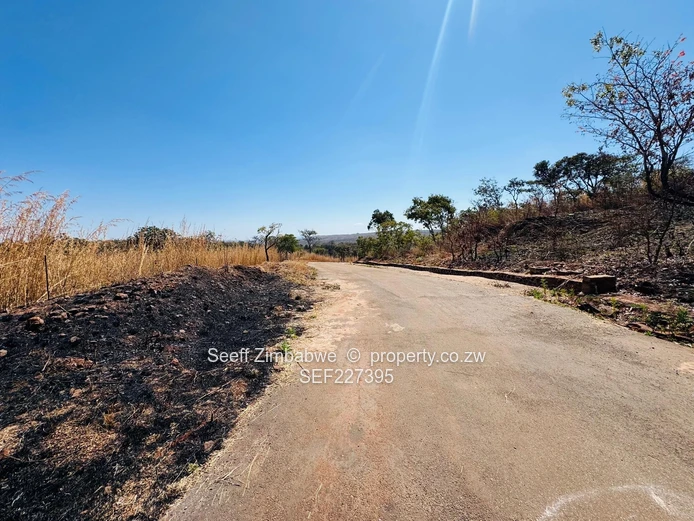 1,6 Hectare Agro-Residential Plot for Sale in Glen Forest