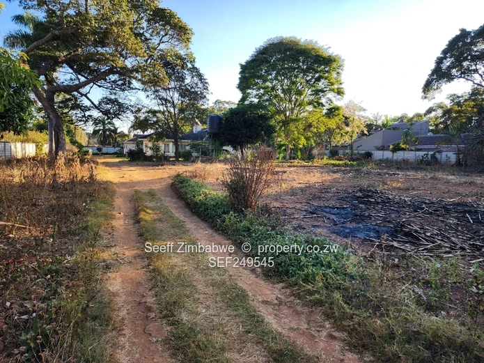 Prestigious Windmill Lane: Premier 2825 sqm Subdivision Stand with Income Cottage