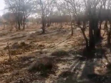 Farm & Agricultural Land