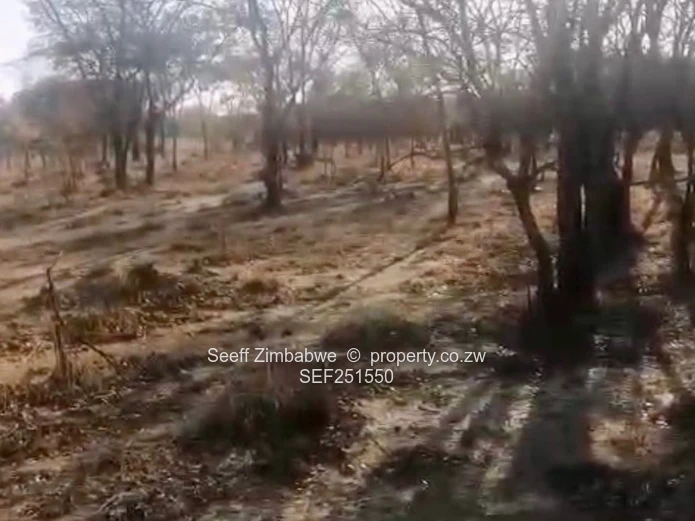 Prime Agri-Residential Plots in Kwekwe: Unleash the Potential!