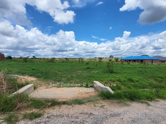 Stands for Sale in Chinhoyi St Ives 