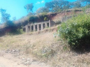 Land