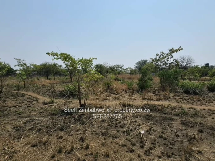 4800 m² Stand in Galloway — Norton with a deed