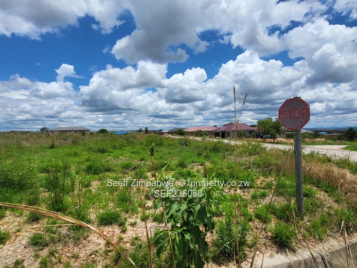 St Ives Chinhoyi