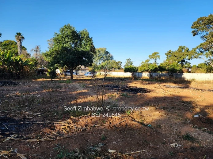 Prestigious Windmill Lane: Premier 2825 sqm Subdivision Stand with Income Cottage