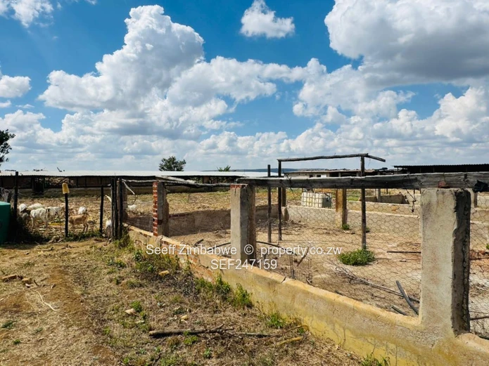 Prime Multi-Purpose Plot | Knowe, Norton (Sole Mandate)