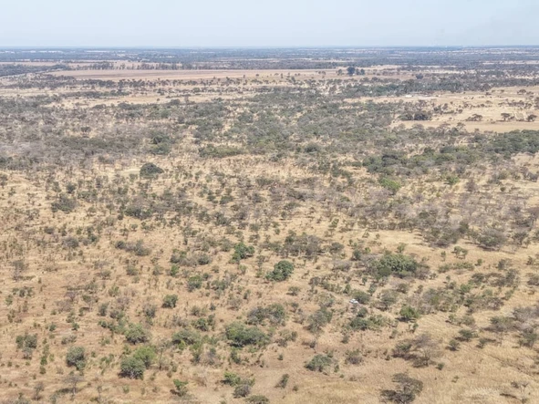 Farm & Agricultural Land