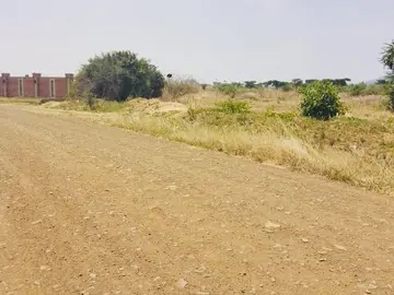 Ready To Build Stands