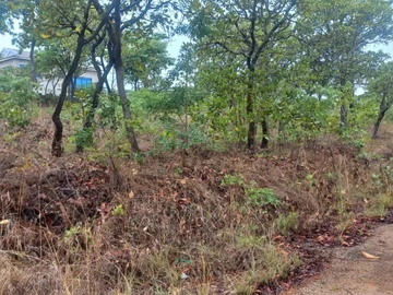 Land
